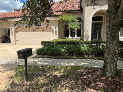 Lawn Services Brandon Fl 1706