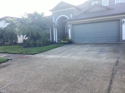 Lawn Services Brandon Fl 1708