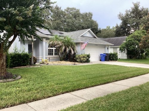 Lawn Services Brandon Fl 1711