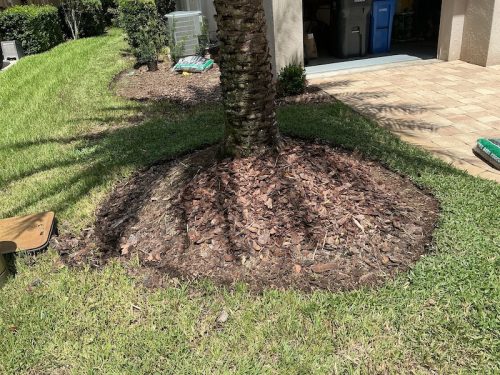 Lawn Services Brandon Fl 1713