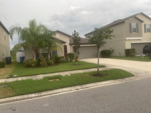 Lawn Services Brandon Fl 1724