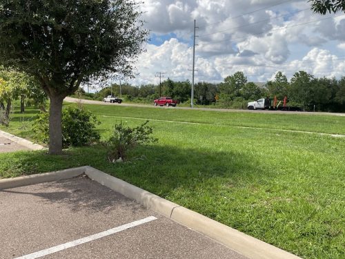 Lawn Services Brandon Fl 1726