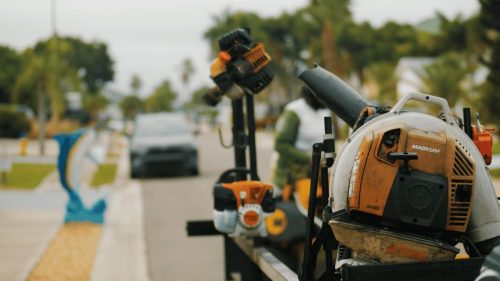 Lawn Services Brandon FL 173