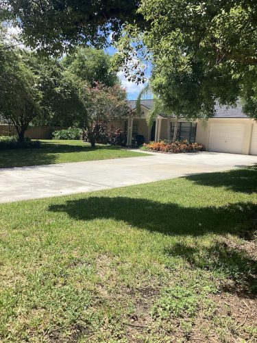 Lawn Services Brandon Fl 1733