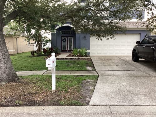 Lawn Services Brandon Fl 1736