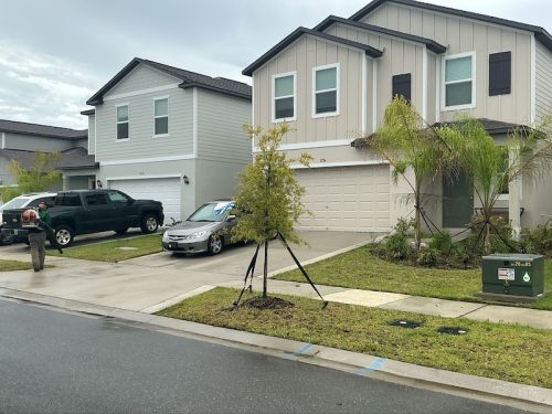 Lawn Services Brandon Fl 1738