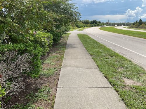 Lawn Services Brandon Fl 1739
