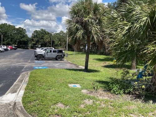 Lawn Services Brandon Fl 1740