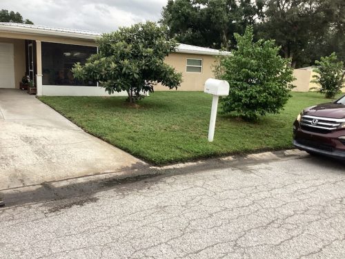 Lawn Services Brandon Fl 1743