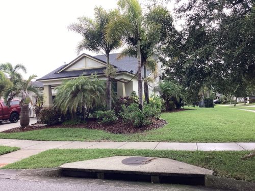 Lawn Services Brandon Fl 1747