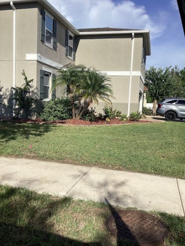 Lawn Services Brandon Fl 1749