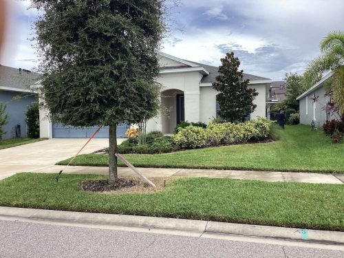 Lawn Services Brandon Fl 1753