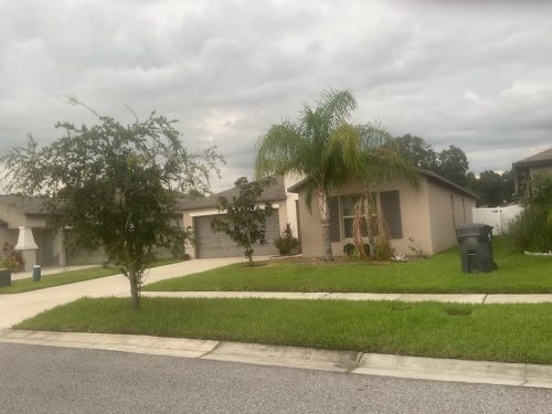 Lawn Services Brandon Fl 1754