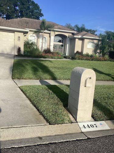 Lawn Services Brandon Fl 1757