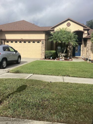 Lawn Services Brandon Fl 1759