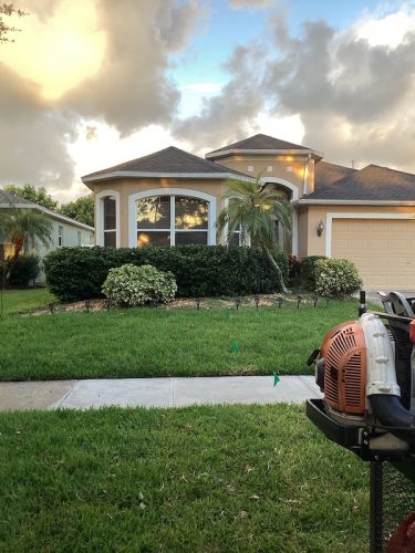 Lawn Services Brandon Fl 1766