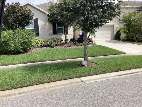 Lawn Services Brandon Fl 1767