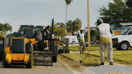 Lawn Services Brandon FL 177