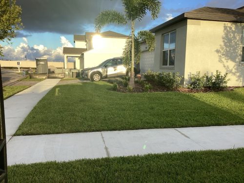 Lawn Services Brandon Fl 1770