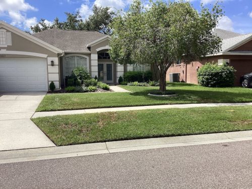 Lawn Services Brandon Fl 1774