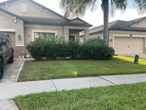 Lawn Services Brandon Fl 1775