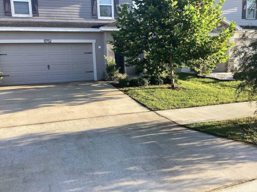 Lawn Services Brandon Fl 1776