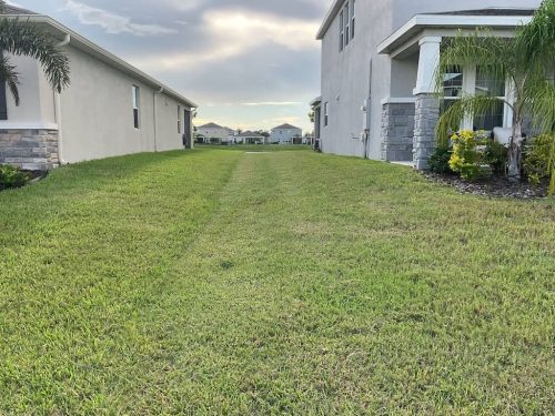 Lawn Services Brandon Fl 1778
