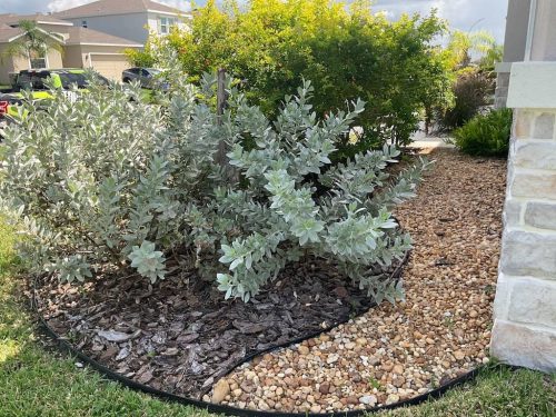 Lawn Services Brandon Fl 1779