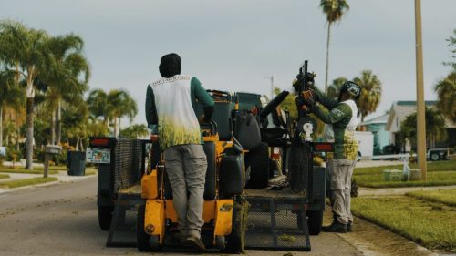 Lawn Services Brandon FL 178