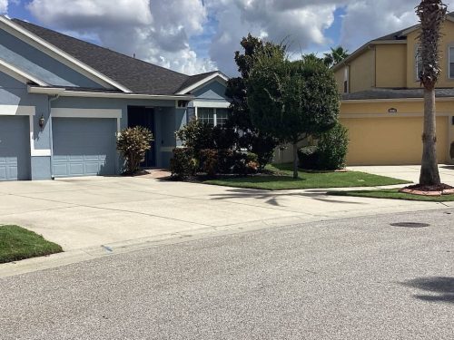 Lawn Services Brandon Fl 1782