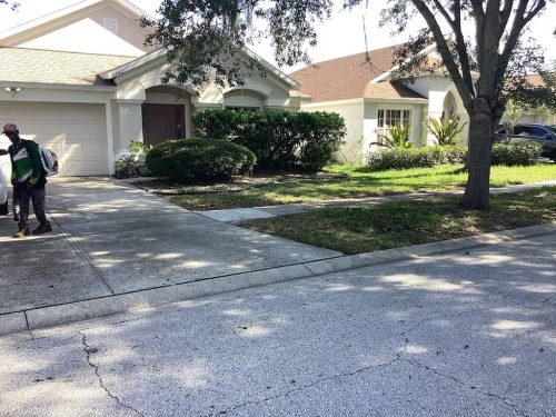 Lawn Services Brandon Fl 1783