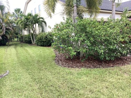 Lawn Services Brandon Fl 1791