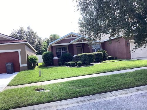 Lawn Services Brandon Fl 1794