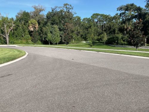 Lawn Services Brandon Fl 1796
