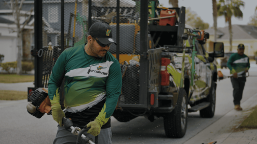 Lawn Services Brandon FL 18