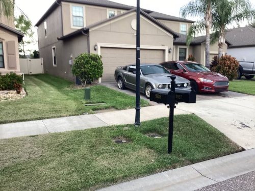 Lawn Services Brandon Fl 1801