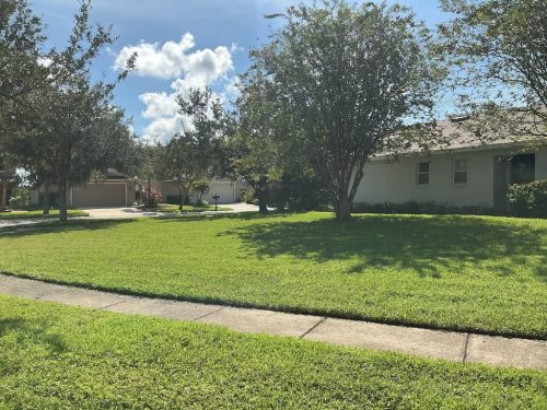 Lawn Services Brandon Fl 1802