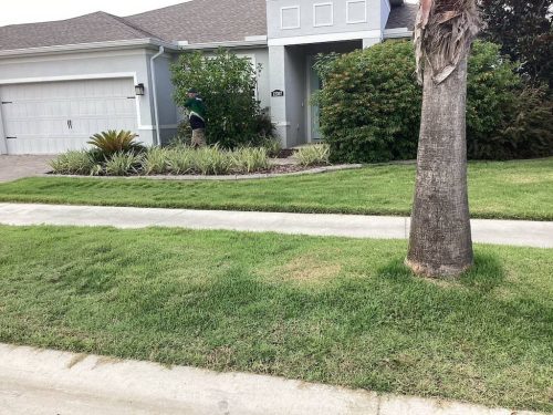 Lawn Services Brandon Fl 1804
