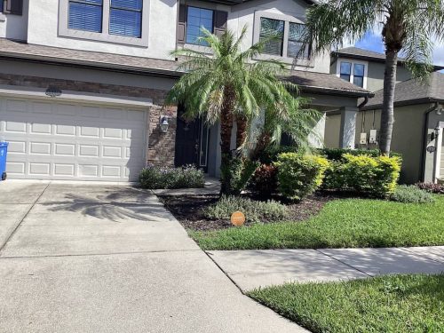 Lawn Services Brandon Fl 1809