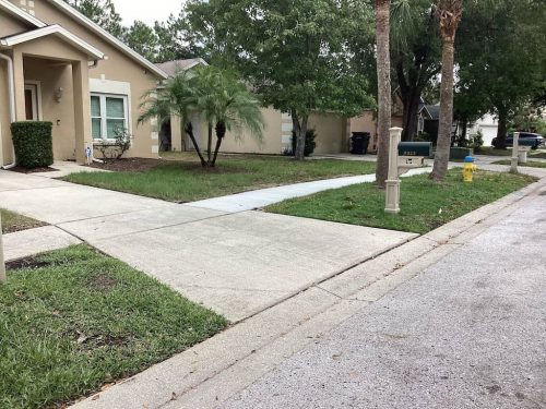 Lawn Services Brandon Fl 1811
