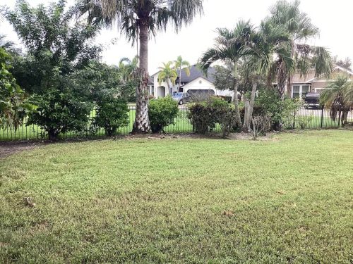 Lawn Services Brandon Fl 1818