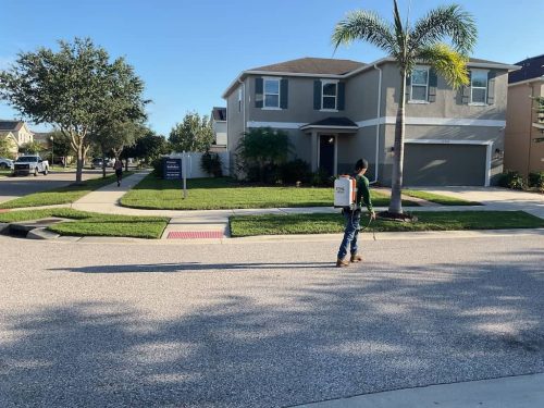 Lawn Services Brandon Fl 1820