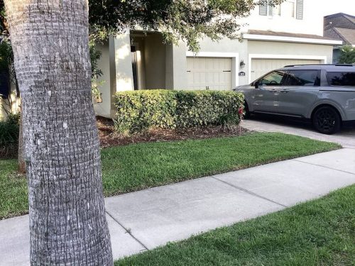 Lawn Services Brandon Fl 1824