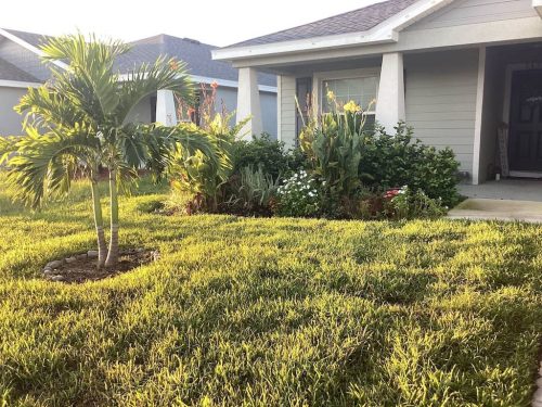 Lawn Services Brandon Fl 1825