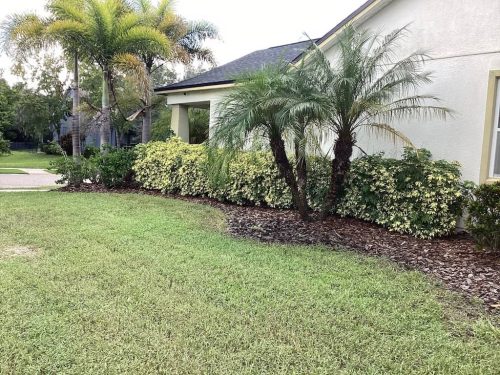 Lawn Services Brandon Fl 1827