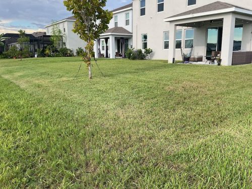 Lawn Services Brandon Fl 1829