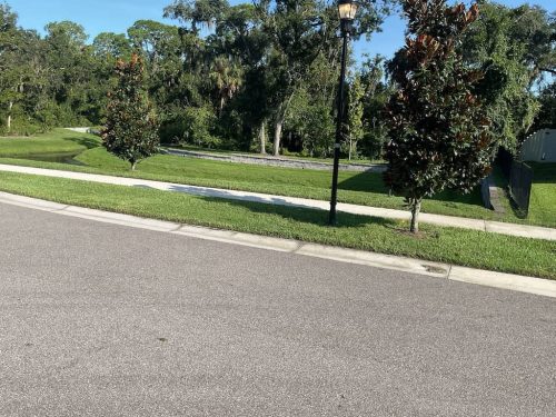 Lawn Services Brandon Fl 1831