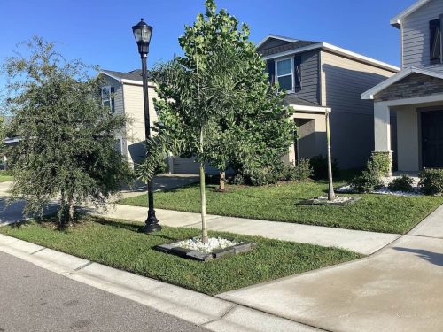 Lawn Services Brandon Fl 1840