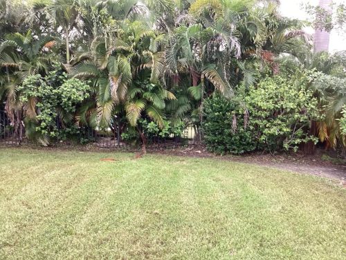 Lawn Services Brandon Fl 1844