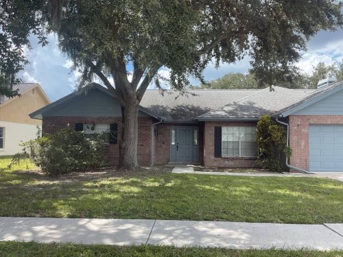 Lawn Services Brandon Fl 1846